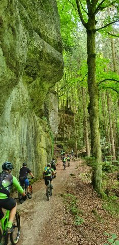 bernerhof-tour-wald