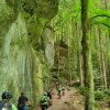 bernerhof-tour-wald