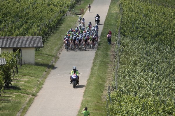 Frauen UCI
